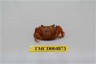 藏品(奧氏後相手蟹)的圖片